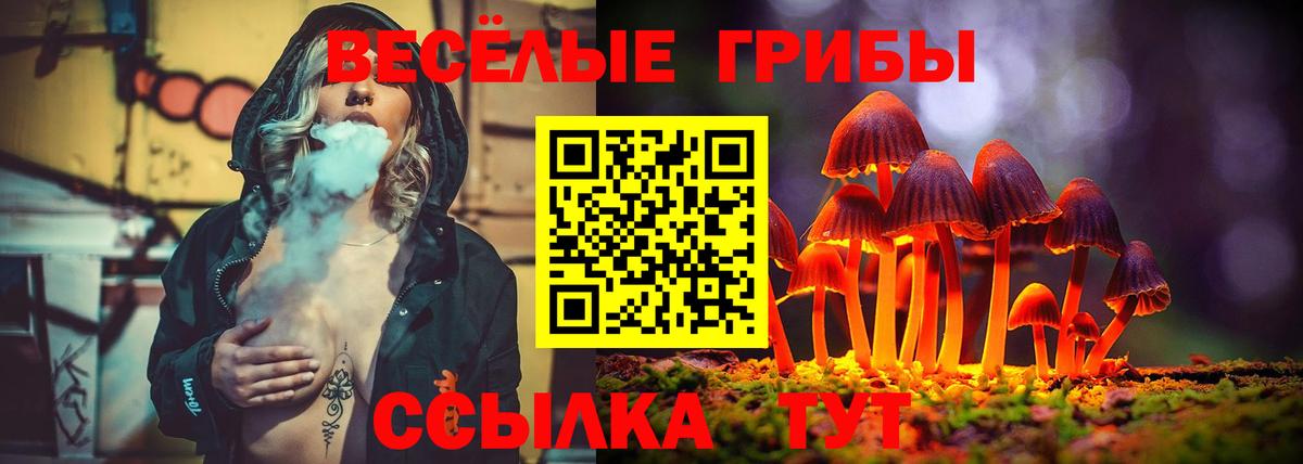 Елабуга  Псилоцибиновые грибы Magic Shrooms  Псилоцибиновые грибы Psilocybe  Вход с VPN 